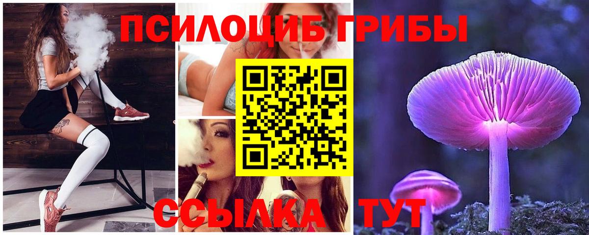 Моздок  Галлюциногенные грибы GOLDEN TEACHER  Вход с VPN  Псилоцибиновые грибы Cubensis 